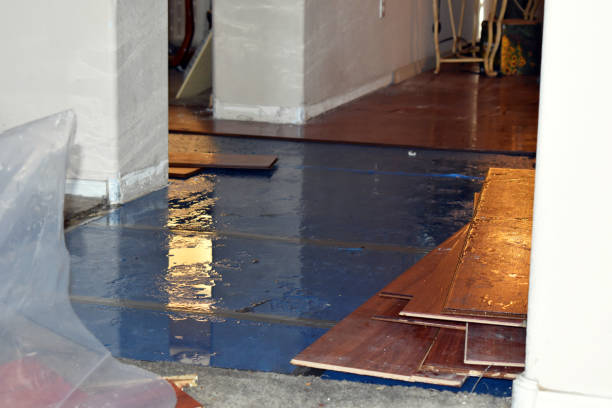 Professional Flood Damage Repair technician working in Fairview, OR